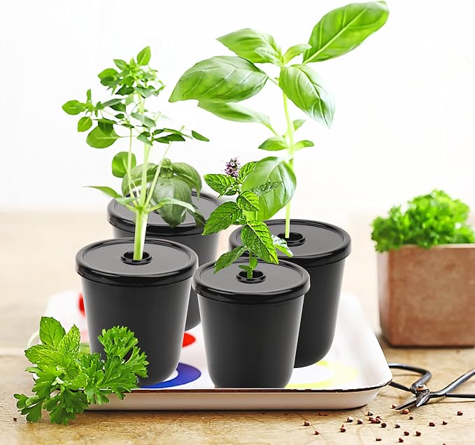 Kratky Method Hydroponic Planter Kit, 8 Hydroponic Planter Plus 24 Growing Sponges for Herbs, Hydroponic Mini Buckets for Windowsill Herb Garden, Hydroponic Growing System for Vegetables (Black)