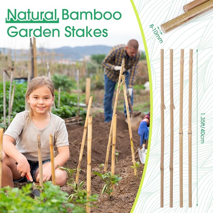 Suclain 30 Pcs Bamboo Plant Stakes Natural Garden Support Sticks for Climbing Plants Sturdy Bamboo Garden Stakes for Tomato, Beans, Flowers and Potted Plants, Vegetables, Indoor & Outdoor (1.35 ft)