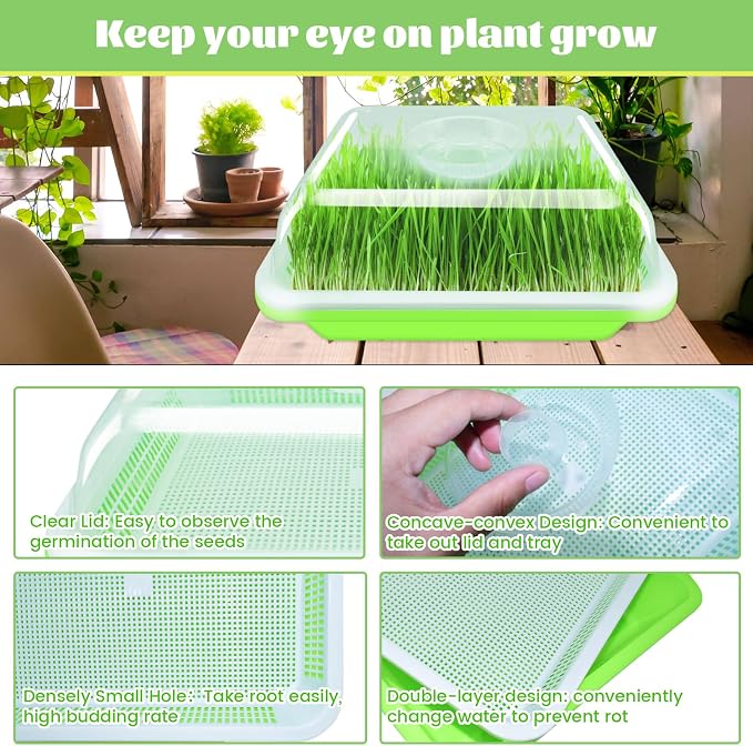 Legigo 2 Pack Seed Sprouter Trays with Lids- Soil-Free Cultivation Germination Tray, BPA Free Micro Greens Growing Trays Seed Sprouting Trays Kit with Germinating Paper for Wheatgrass, Beans and More
