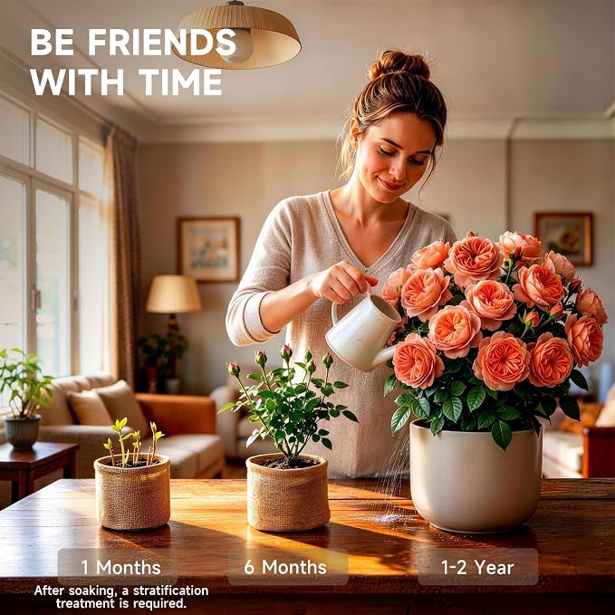 Flower Growing Kits, Windowsill Plant Starter Kit, Indoor Garden Starter Kit with Seed(Rose), Plant Gifts for Women, Mom Gifts