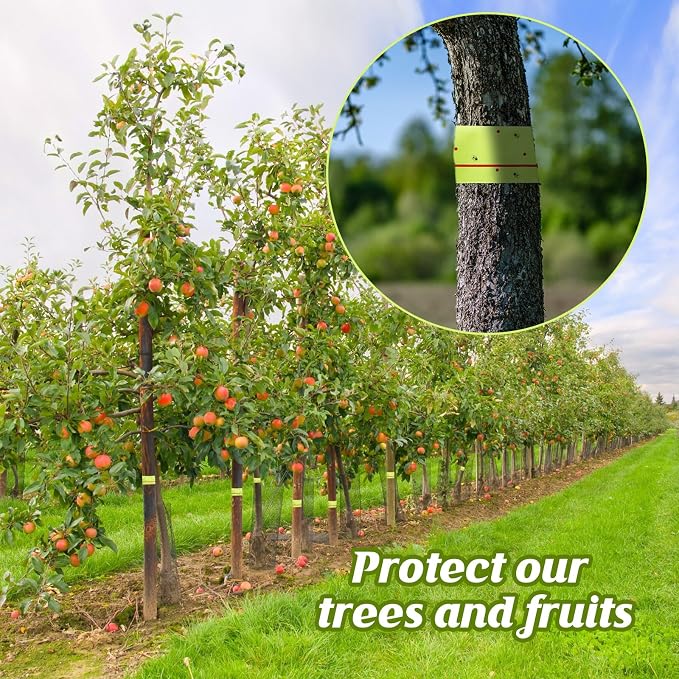 12 Rolls (30 Feet Each Roll) Spotted Lantern Fly Tree Trap Indoor Outdoor Fruit Fly Traps Disposable Paper Spotted Lantern Tree Tape Sticky Barrier for Protecting Trees(Green)