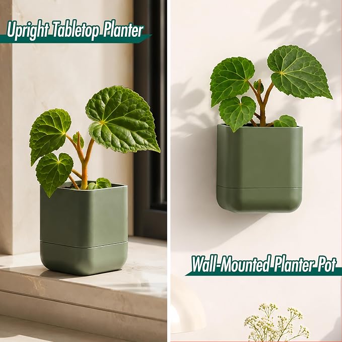 Phoenix Vine 3.5 Inch Wall Mounted Self-Watering Planter Pot for Indoor Houseplants and Herbs | Hanging Planter for Window Sills, Bathroom Walls, Home & Office Décor, Olive, Set of 3, 01-A-F-3