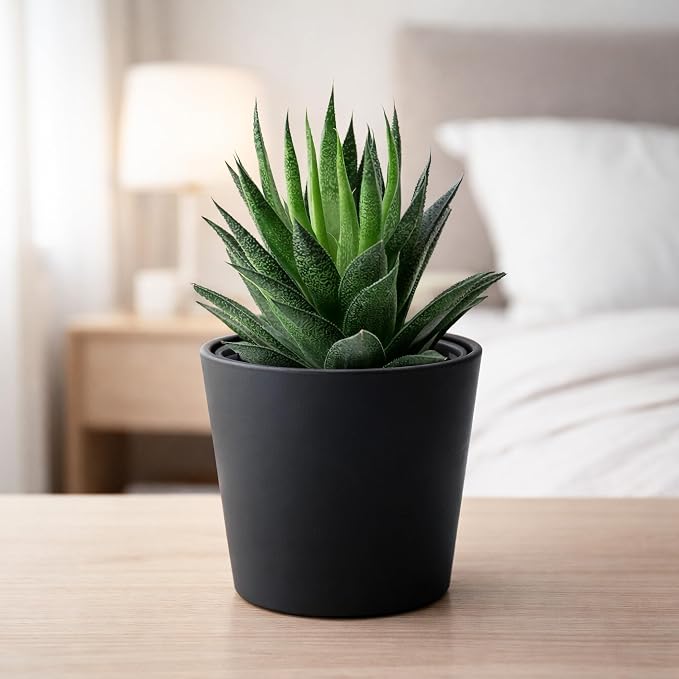 Phoenix Vine 4.5 Inch Black Plastic Cachepot with Clear Nursery Pot, Decorative Lightweight Planter Cover with Transparent Inner Pot for Indoor Houseplants, Pack of 6, 24-B-E-6