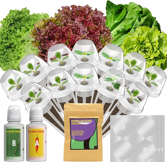 12 pods Red romaine lettuce seed Pods for AeroGarden, Ahopegarden, iDOO, MUFGA - Compatible with All Hydroponic Indoor Garden Growing system refill, 400+ Seeds