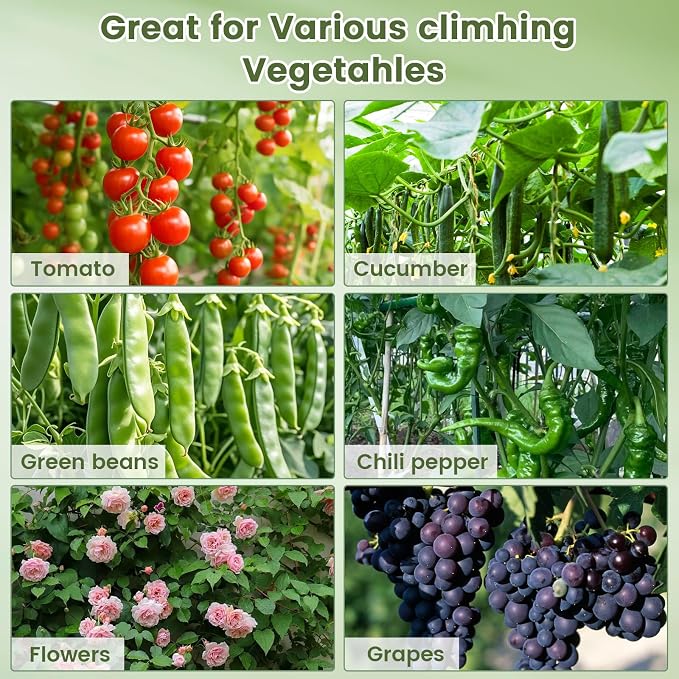 63in A-Adjustable MetalCucumber Trellis Kit with Planting Bags, Garden Trellis for Climbing Plants Outdoor Vertical Vegetable Support for Cucumbers Tomatoes Beans Peas Raised Bed and Patio Garden