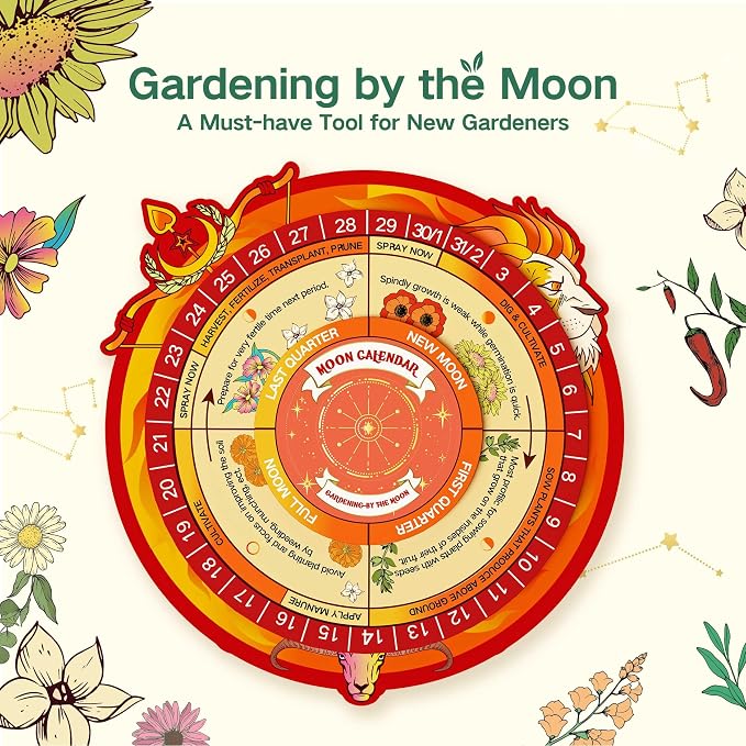 Lush&Dew Zodiac Garden Seed Bank Fire Signs, Gardening Gifts for Women Men | 12 Varieties USA-Sourced Non-GMO Heirloom Vegetable Flower Seed Kit, Handcraft Storage Box with Moon Calendar, USDA Zone 3-11