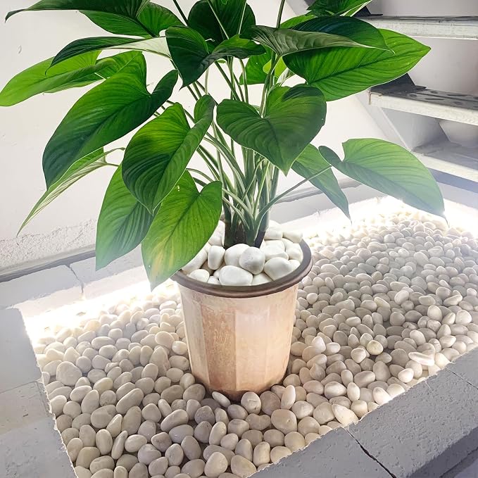 FANTIAN 20 lbs White Rocks for Gardens, 1.5-2.5 Inch Decorative Pebbles for Plants Outdoor, White River Rocks for Landscaping Plants Backyard Aquarium Vase and Bird Bath