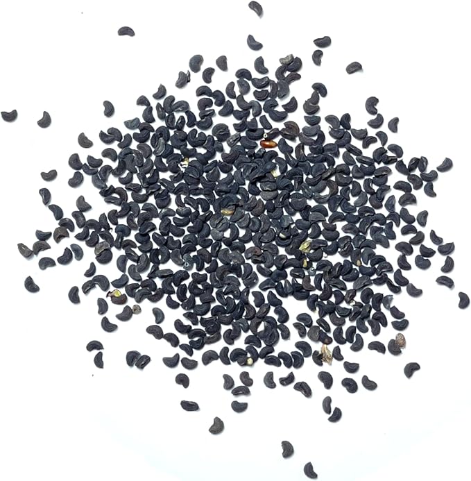 Seed Needs Rue Seeds to Plant Heirloom Non-GMO Medicinal Herbs 5 Packs