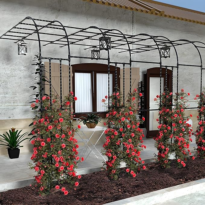 Half Sided Arch Against The Wall Garden Trellis, Metal Arbor Archway for Climbing Plants Outdoor, 7.9FT 8.7FT Black Vine Frame Rose Support for Home Yard and Garden(150x267x60cm)
