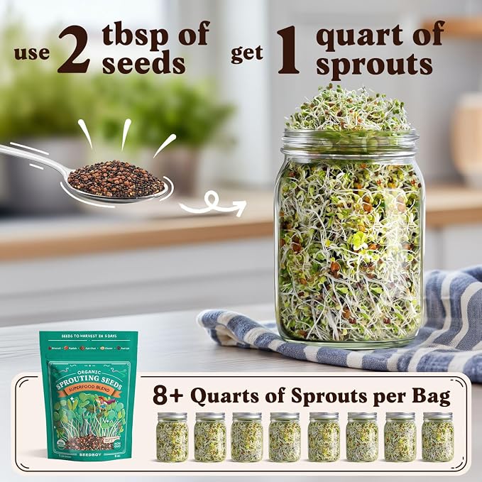 Seedboy Organic Non-GMO Sprouting Seeds, Superfood Blend - USA Grown Microgreens Mix with Broccoli, Radish, Pak Choi, Clover, Red Kale - 8 oz Makes 8 Quarts / 32 Servings (Superfood Blend)