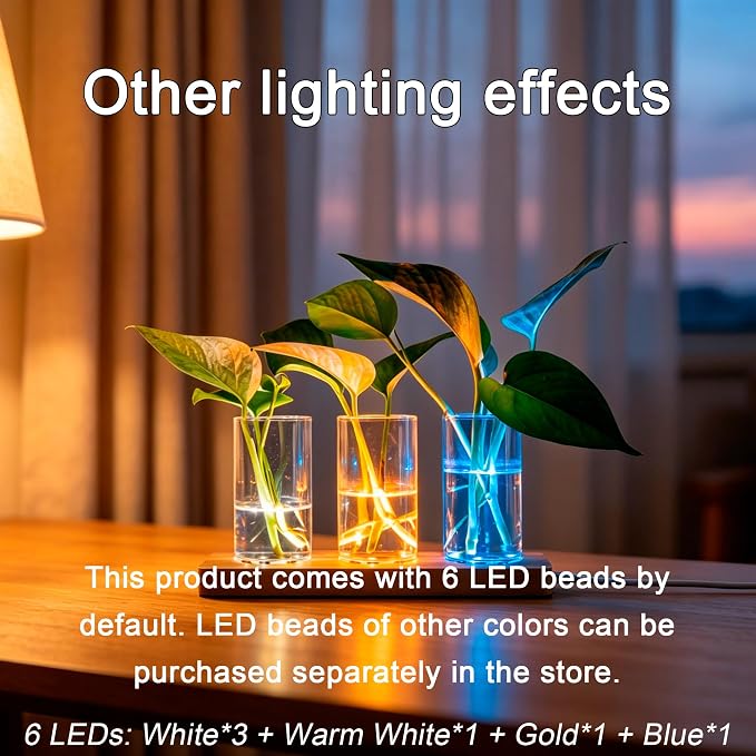 3 Pcs Plant Propagation Terrarium with Wooden Stand | 6 Pcs Wireless LED Light, Desktop Glass Planter Station, Water Planting Glass Vase, Hydroponic Plants, DIY Centerpiece Decor