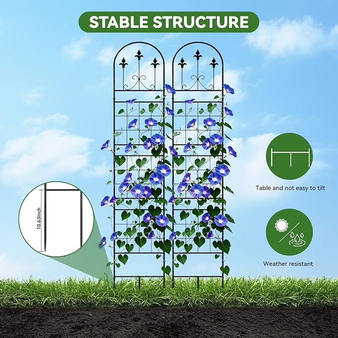 Amoskey 2 Pack 79x13in Durable Garden Trellis for Climbing Plants - Outdoor Trellis Supports for Lush Greenery - Ideal for Vines, Flowers, and Vegetables, Easy Installation & Space-Saving Design