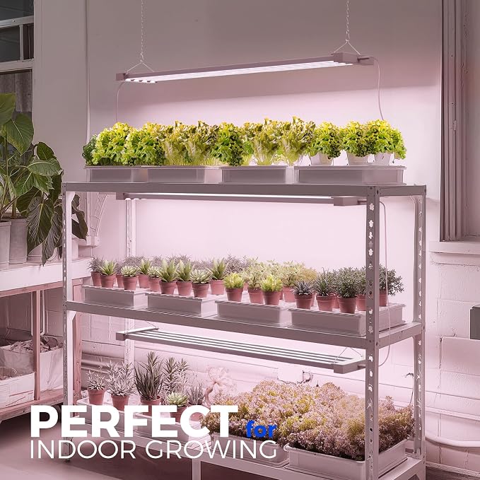 Barrina TX-L63 3FT LED Grow Light, 126W (2 x 63W), 4 Panels Wider Coverage, Full Spectrum, High PPFD, Super Bright, Linkable, Hanging Fixture, Plant Stand with Grow Light for Indoor Seeding, 2 Packs