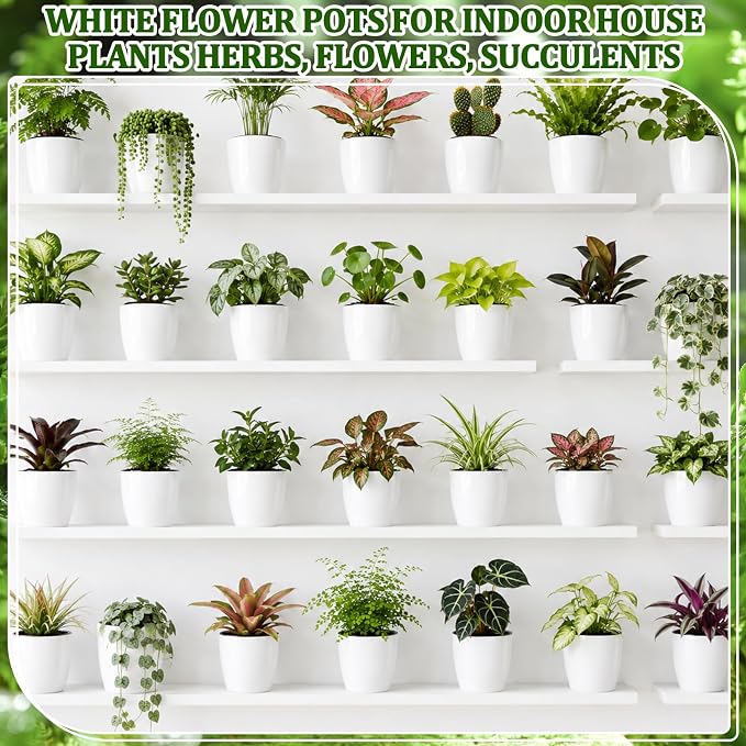 54 Pcs Self Watering Pots, 3.5 Inch Plastic Flower Plant Pot with Inner Pot Self Watering Wick Planter White Clear Flower pots for Indoor House Plants Herbs, Flowers, Succulents(White Black)