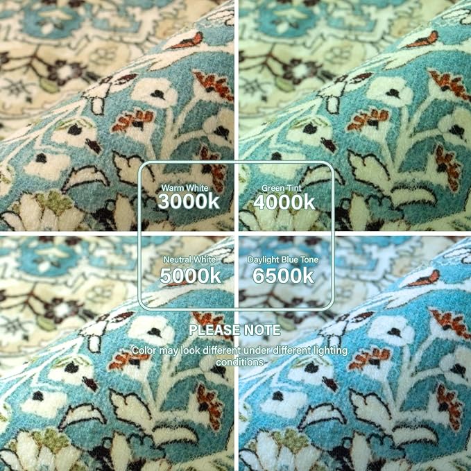 Lahome Felice Floral Medallion Area Rug - 3x5 Distressed Entry Throw Rug Turkish Indoor Accent Rug Non-Slip Washable Low-Pile Carpet for Entrance Living Room Bedroom Dining Table, Sky/Baby Blue
