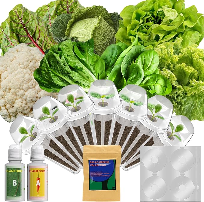 Salad Seeds for AeroGarden, iDOO, Ahopegarden Hydroponics Growing System, 7-pods, 350+ Seeds (Include Spinach, Swiss Chard, American Fast Lettuce, Cabbage, Cauliflower)