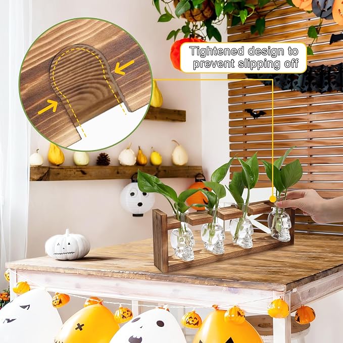 Plant Propagation Stations Halloween Skull Plant Terrarium Kit | Glass Vases Gift for Father Air Planter Home Office Decor