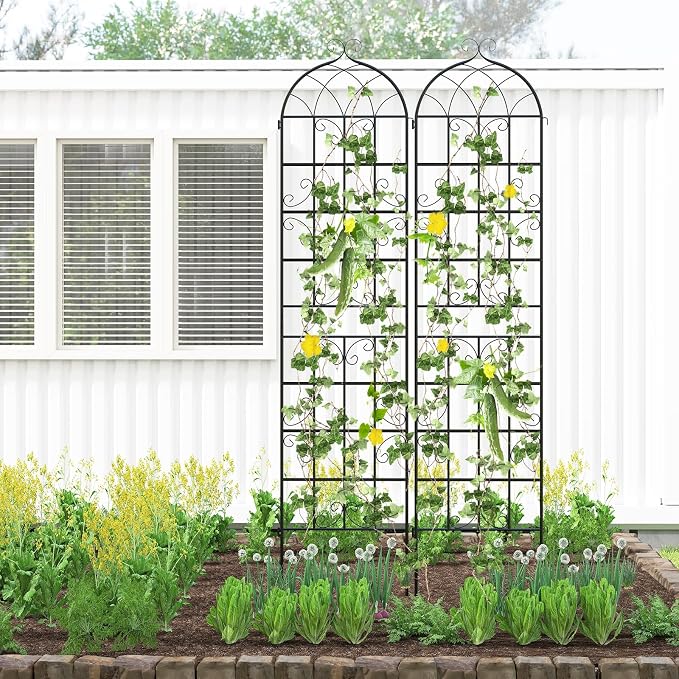 Giantex 2 Packs 86"x20" Metal Garden Trellis for Outdoor Climbing Plants, Heavy-Duty Plant Support for Vine Rose Vegetable Flower, Rustproof Black Metal Coating Patio Trellis Arch Decorative Fence