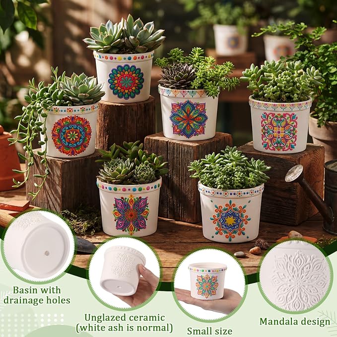 Zubebe Paint Your Own Ceramic Pots Bulk Unfinished Succulent Pots Craft Kit with Drainage Hole Mini Paintable Plant Vase Ready to Paint Planter for Cactus Purple Mandala DIY Craft Painting