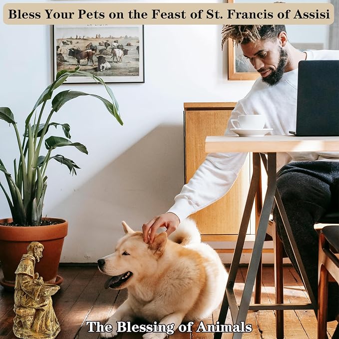 St. Francis of Assisi Garden Statue, Spiritual Bird Feeder, Blessing of Animals Decorative Accent for Outdoor Spaces, St. Francis Statue Souvenirs for Patron Saint of Animals, Franciscan Decor