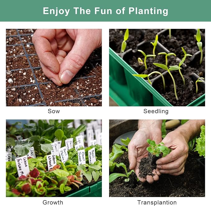Elcoho 6 Pack Seed Starter Tray Kit 40 Cells Seedling Trays with Humidity Dome and Base Mini Propagator Plant Nursery Pots Total 240 Cells for Greenhouse Plants Growing, Green
