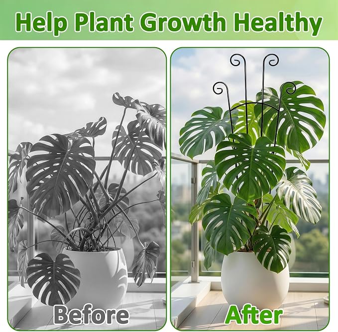 Monstera Plant Support - 4-Pack of 32.6" Tall Plant Trellis Stakes for Large Indoor Vines | Adjustable Dual Pole Frame for Monstera Deliciosa & Potted Plants