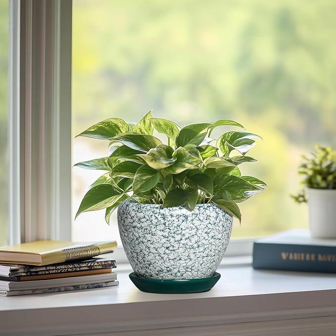 Ceramic Plant Pot, 6 Inch, Crackle Green | Round Succulent Pot, Drainage Hole and Saucer, Modern Decorative, Bathroom Decor, House Warming Gift