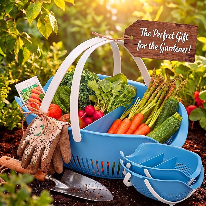 Nuogo 3 Pcs Garden Harvest Basket Removable Partitions with Tool Caddy for Collecting Carrying and Cleaning Harvesting Basket Doubles Colander for Vegetables and Fruits Garden Accessories(Blue)
