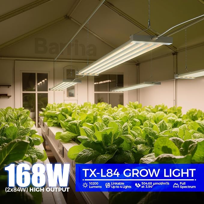 Barrina TX-L84 4FT Grow Light, 168W (2 x 84W), 4 LED Panels Wider Coverage, Full Spectrum with 730nm IR LEDs, High PPFD, Linkable, Hanging for Plant Light Indoor, Seeding, Vegetable, Flowers, 2 Packs