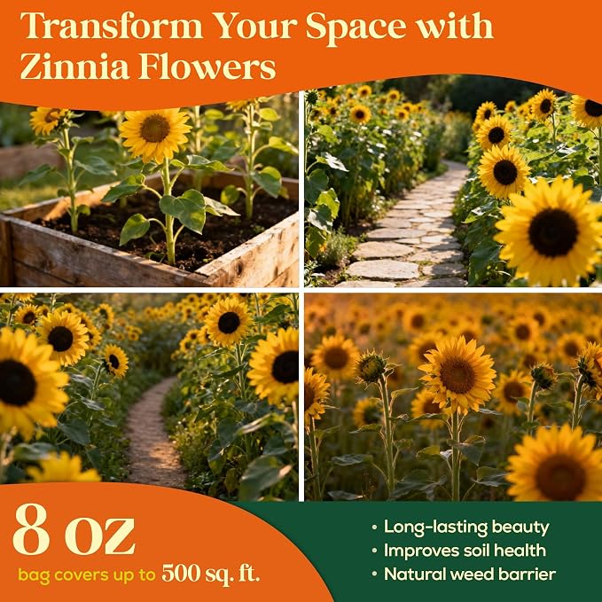 Seedphony Sunflower Mix Seeds Pack 8 oz - 10,300 Non-GMO Heirloom Sunflower Mix Seeds for Planting, Annual Flowers in Waterproof Seed Packet, Edible Flower Seeds for Planting Garden Indoor & Outdoor
