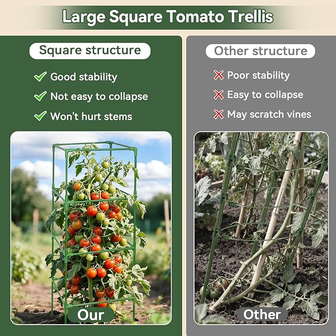 Halatool 2 Pack 72" Tall Square Tomato Cages - Heavy Duty Metal Plant Cage for Indeterminate Tomatoes, Reusable Trellis for Garden Vegetables, Up to 6ft Supports for Peppers, Cucumbers, Raised Beds