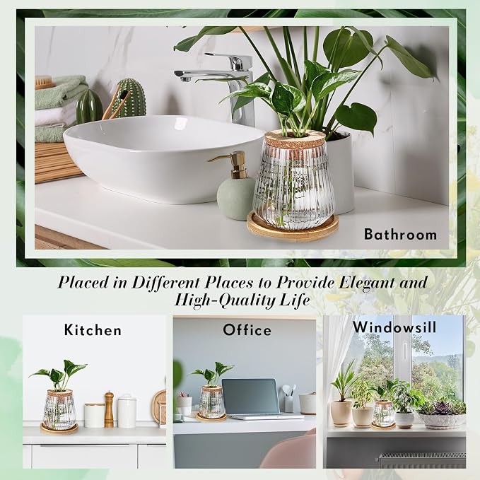 Baderke 12 Packs Propagation Vases for Plants Plastic Plant Propagation with Hole Lid and Bamboo Stand Growing in Water Hydroponic Home Office Desktop Vase Decoration
