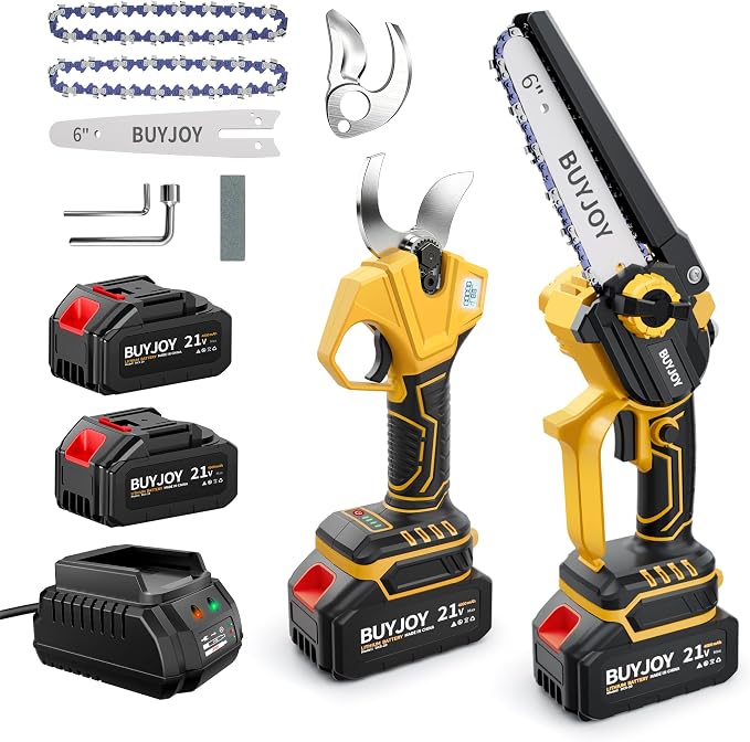 BUYJOY 2-in-1 Mini Chainsaw & Electric Pruning Shears, 1.8" Cutting Capacity, 6 Inch Cordless Chainsaw with 2 x 4.0Ah Batteries, Battery Powered Branch Cutter for Tree Trimming and Garden Pruning