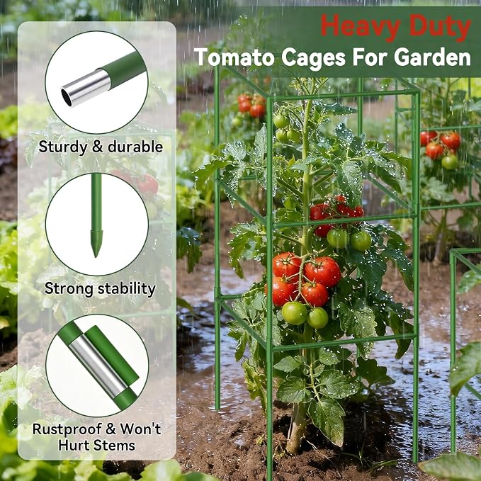 Halatool 2 Pack 72" Tall Square Tomato Cages - Heavy Duty Metal Plant Cage for Indeterminate Tomatoes, Reusable Trellis for Garden Vegetables, Up to 6ft Supports for Peppers, Cucumbers, Raised Beds