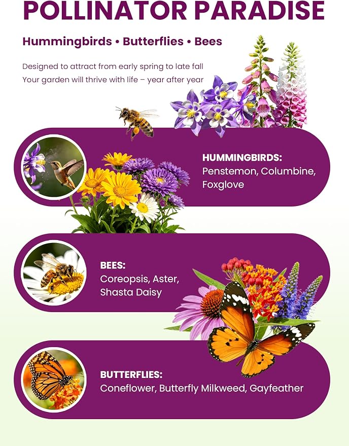Wildflower Seeds – Perennial Paradise Mix, 21 Heirloom Species, 24,000+ Seeds (4oz) Covers 300-360 sq. ft., High Germination for Outdoor Pollinator Garden