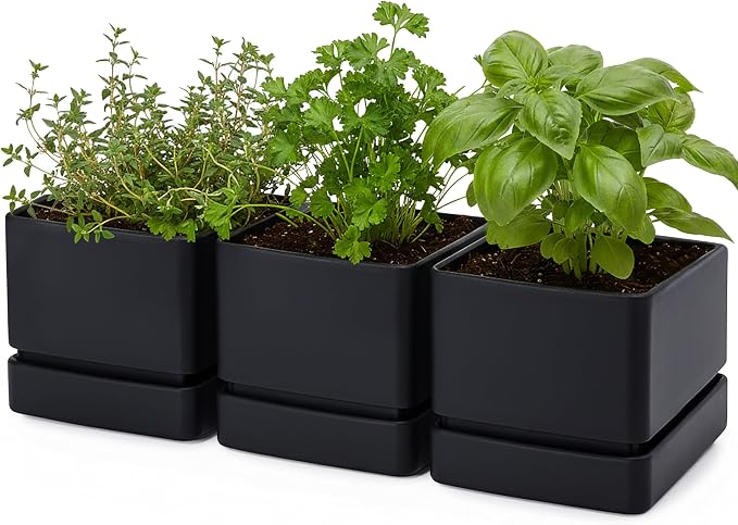 D'vine Dev 6 Inch Herb Planter Pot, Plastic Planter with Drainage Holes and Saucer, Modern Decorative Gardening Pot for Indoor Plants, Flowers, Herbs, Succulents, Black, Set of 3, 76-Y-B3-2
