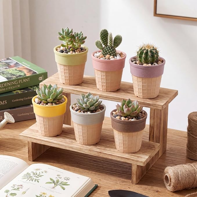 6 Pcs Ice Cream Cone Flower Planter 6 Assorted Colors 2.8 Inch Small Ceramic Pots for Mini Plant Succulent Cactus Flower Tillandsia Air Fern Home Office Desktop Decor