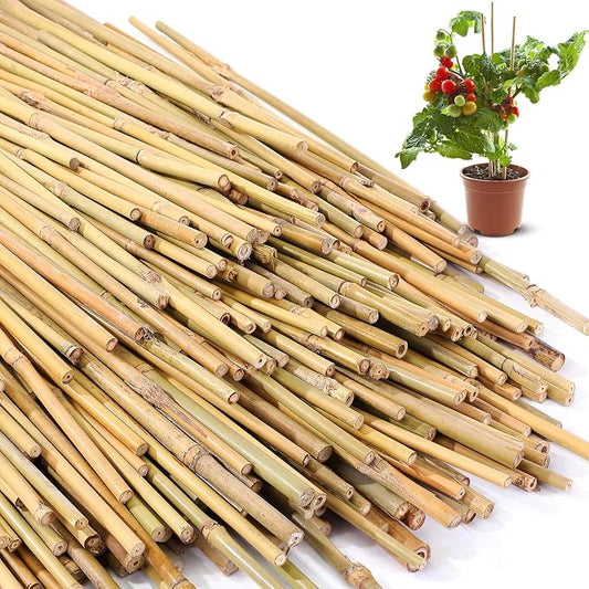Suclain 200 Pcs Bamboo Plant Stakes Natural Garden Support Sticks for Climbing Plants Sturdy Bamboo Garden Stakes for Tomato, Beans, Flowers and Potted Plants, Vegetables, Indoor & Outdoor (1 ft)