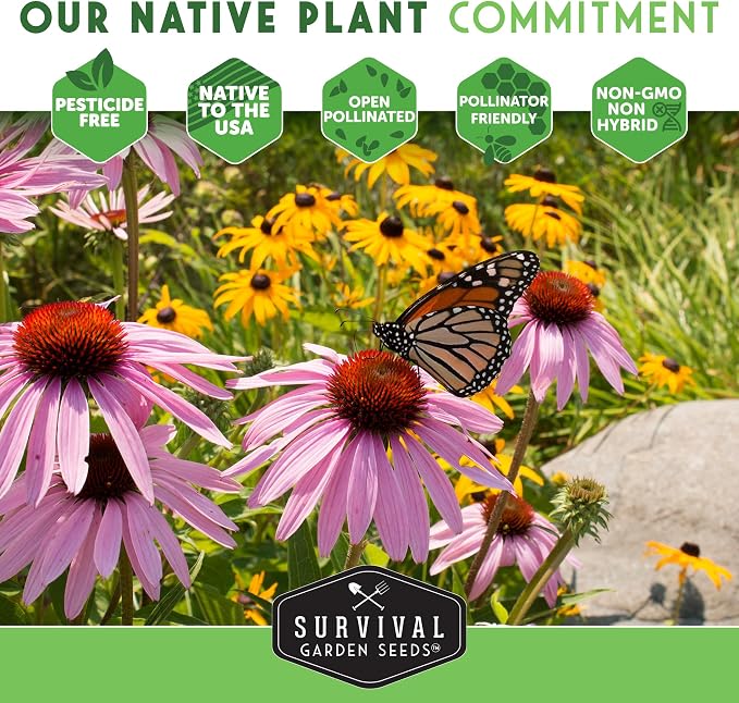 Survival Garden Seeds White Sage Seeds for Planting, 3 Packs | Salvia Apiana Seed, Native California Plant for Warm Dry Gardens & Smudging Herbs - Open-Pollinated Variety