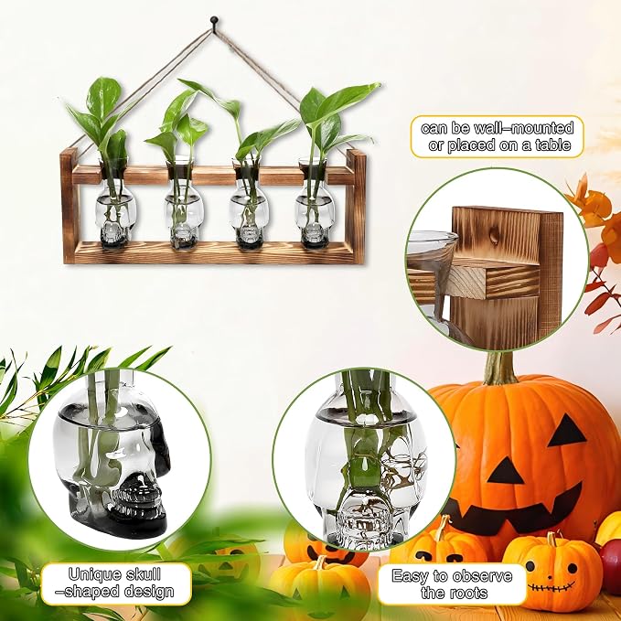Plant Propagation Stations Halloween Skull Plant Terrarium Kit | Glass Vases Gift for Father Air Planter Home Office Decor