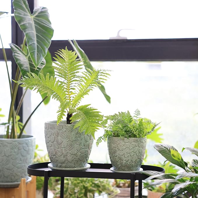 8 Inch + 6 Inch Plant Pots for Indoor Plants, Ceramic Planter with Drainage Hole and Saucers, Garden Pots for Succulent, Orchid, and Flower, Set of 2