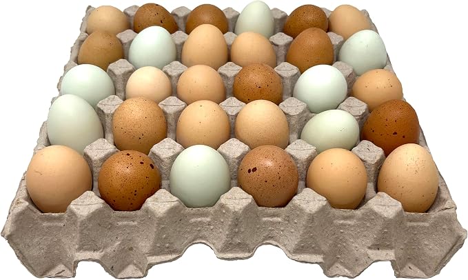 Paper Pulp Egg Trays, 20 Count (Pack of 3)