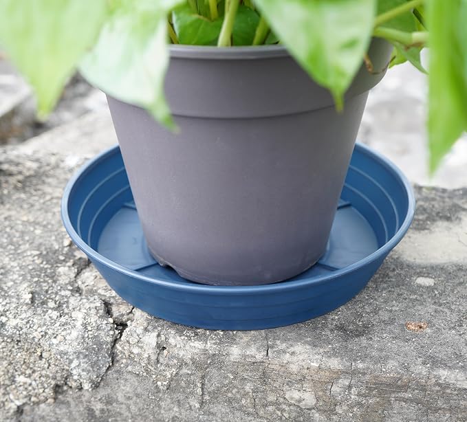 LWALRS Plant Saucer 14 Inch 2 Pack 6 8 10 12 14 16 18 20 25, Plastic Plant Trays for Pots，Extra-Deep Plant Water Dray Tray, Bird Bath Bowl, Heavy Flower Plant Saucers Indoors and Outdoor No Holes