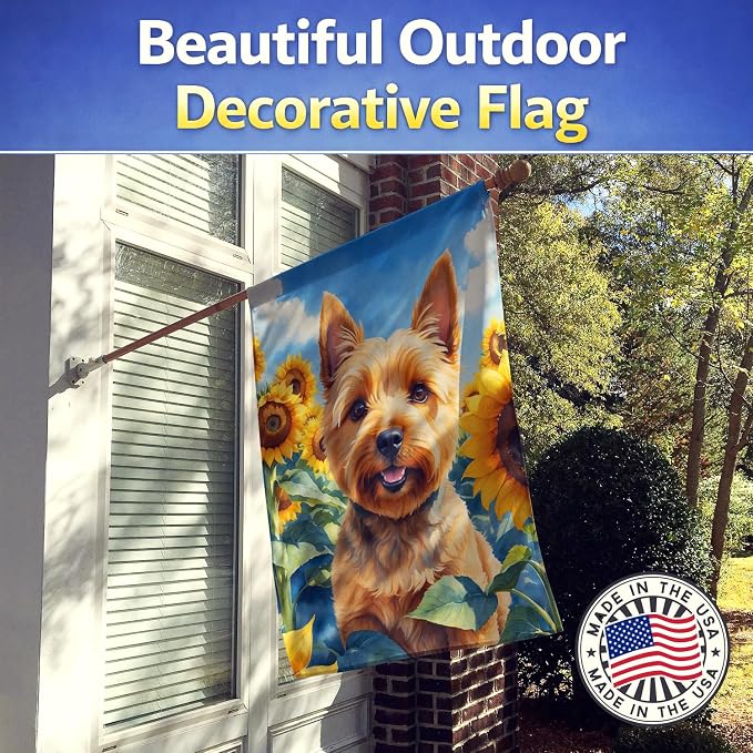 Caroline's Treasures DAC6127CHF Norwich Terrier in Sunflowers House Flag Large Porch Sleeve Pole Decorative Outside Yard Banner Artwork Wall Hanging, Polyester, House Size, Multicolor