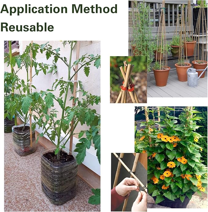 30pcs Bamboo Stakes 4FT, 1/2" D Thicker Garden Stakes Multi-Purpose, Plant Stakes for Tomatoes, Beans, Cucumbers, Peppers, Flowers, Potted, Maintain the Plant Posture, Strengthen and Stem