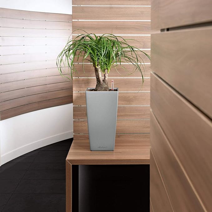 Lechuza CUBICO 22 Cream White High Gloss, Self-Watering Tall Planter, H16.1 L8.7 W8.7 in