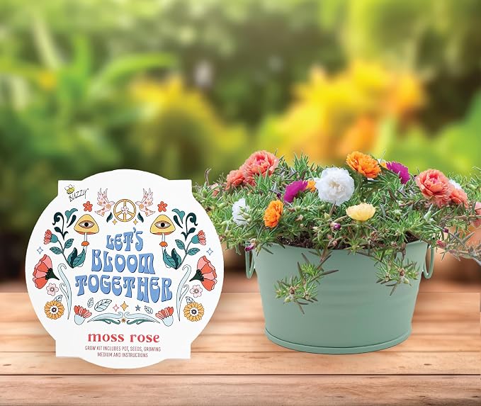 Buzzy Seeds Cactus, Moss Rose & Aloe Grow Kit 3-Pack - Ceramic Planter - Complete Indoor Gardening Kit with Seeds, Coconut Husk Growing Medium & Genuine Pots - 100% Grow Guarantee