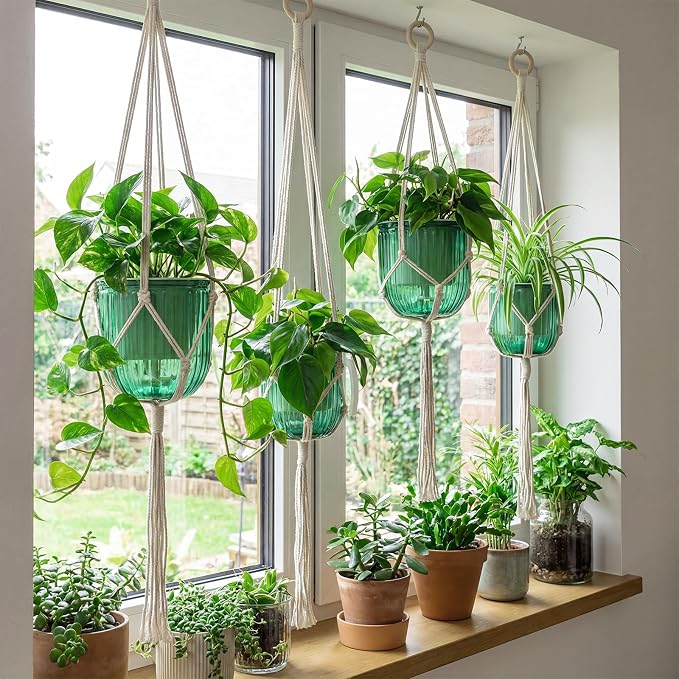 Hanging Planter Set of 6 Self Watering Indoor Flower Pots with Water Level Indicator Modern Plant Hangers for Indoor Garden Decor Balcony Apartment Boho Home Decoration Easy Care(Emerald)