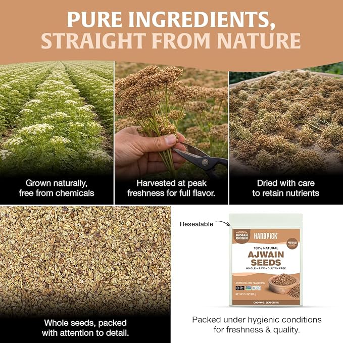 HANDPICK Ajwain Seeds (397g/14oz) Whole Carom Seeds | Vegan, Gluten free, Non GMO | Raw Carom Bishops, Indian Origin | Packed in Resealable Ziplock Pouch