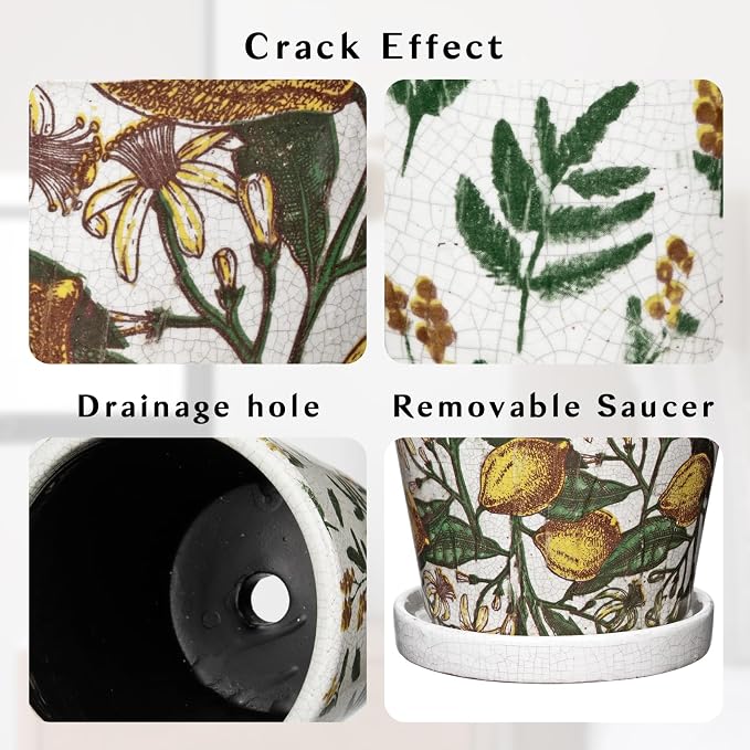 5.5 Inch Decorative Plant Pots, Round Ceramic Planters for Indoor Plants Pots with Drainage Hole Saucers, Lemon Green Leaves Ceramic Flower Pots Retro Planter Pot for Succulents Cactus Outdoor Garden